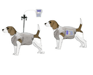 Dog Infusion Systems