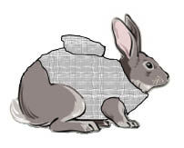 Rabbit Infusion