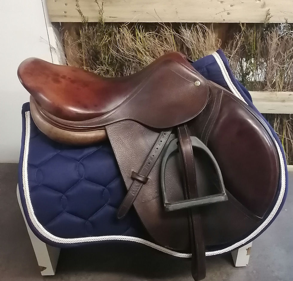 Miniature : SELLE CUIR CSO CWD SE02 17'