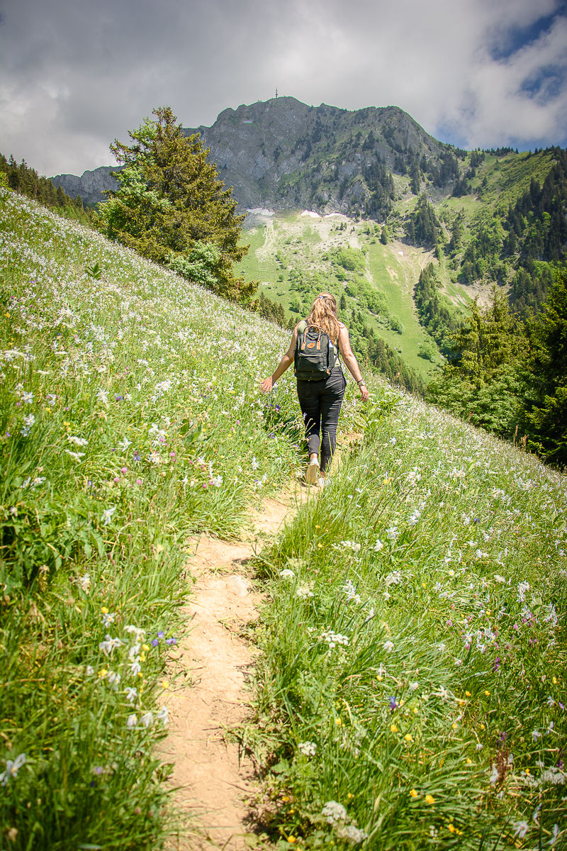Ausflugsideen Schweiz Narzissen Wanderung