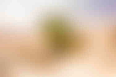 Übernachtung Tunesien Hughlight