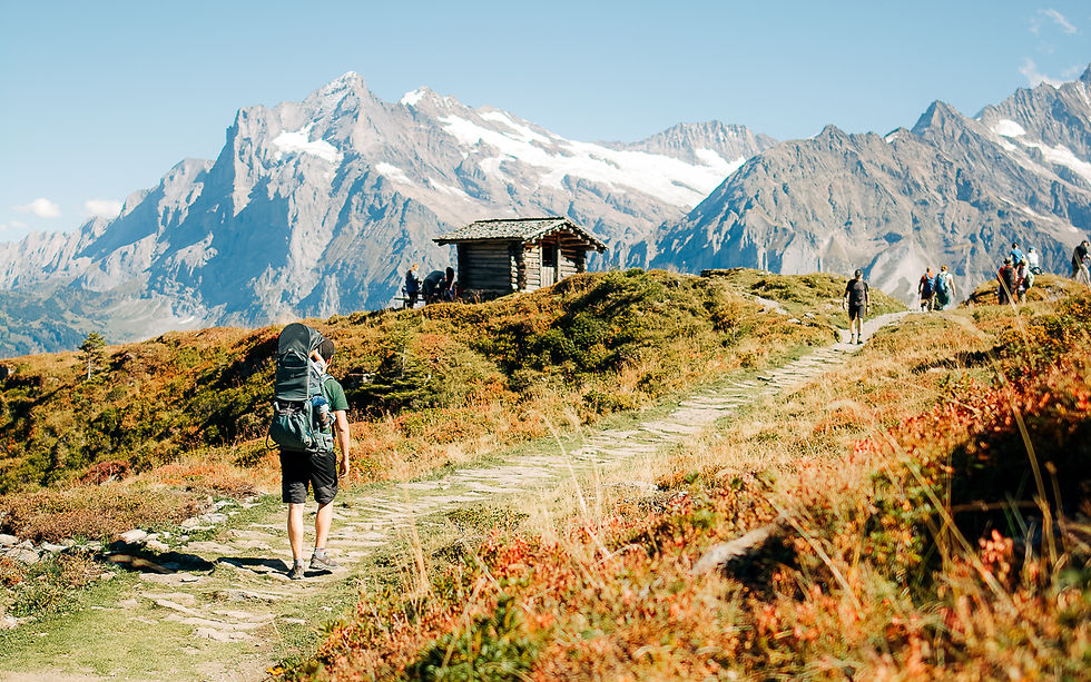 Toller interaktiver Themenweg