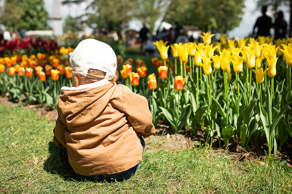 Familienausflug im Frühling
