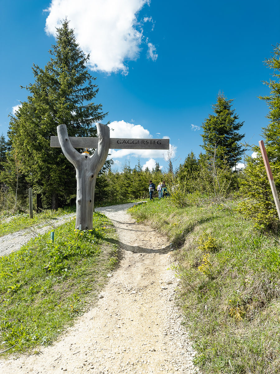 Ausflugstipp für Familien - Gäggertsteg