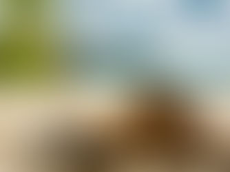 Sehenswerte Strände auf Praslin