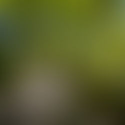 Dieser Spazierweg mit Kinderwagen ist ein echter Geheimtipp