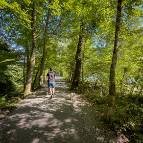 Dieser Spazierweg mit Kinderwagen ist ein echter Geheimtipp
