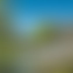 Restaurant und Café mit Kindern