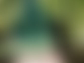 Kinderwagen Spaziergang am Blausee