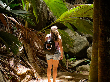 Vallée de Mai - eine Sehenswürdigkeit auf Praslin