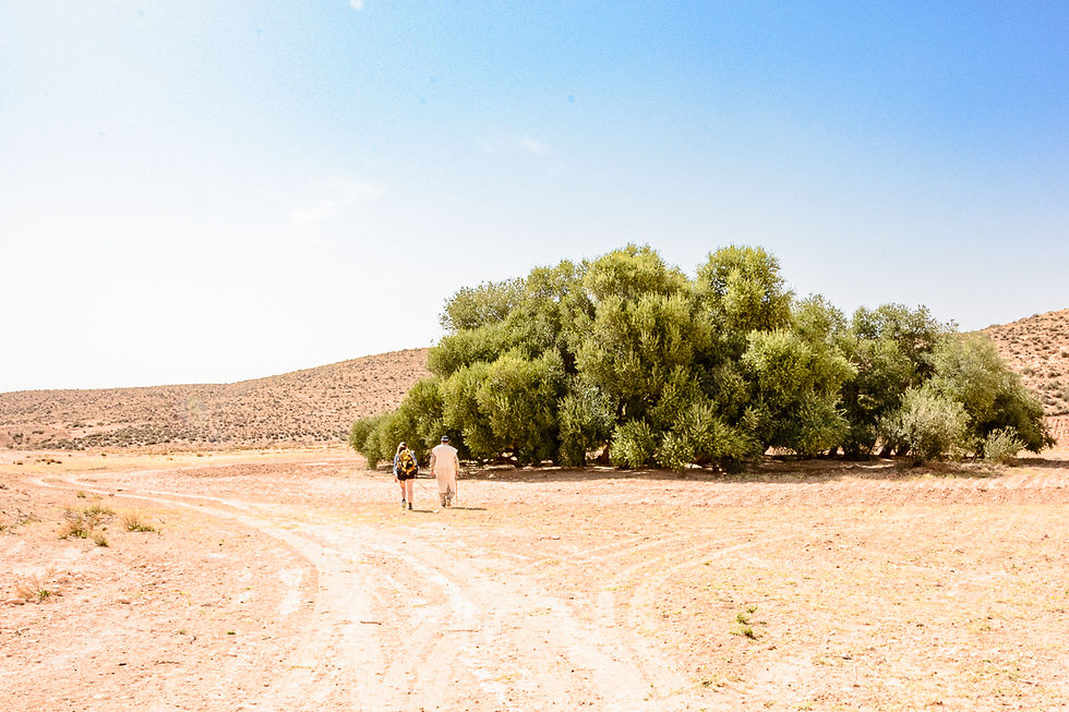 Tunesien Reiseblog Geheimtipp entdecken Wandern in der Wüste