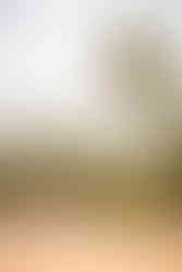 Übernachten in einer Oase Dar Sana