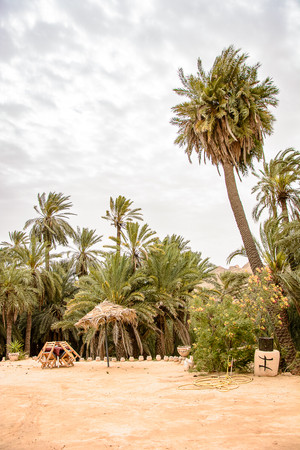 Übernachten in einer Oase Dar Sana