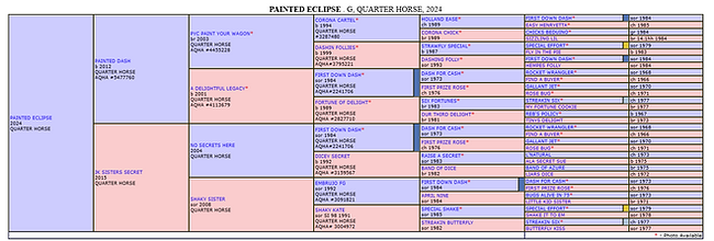 Painted Eclipse Screenshot 2026-06-02 174013.png