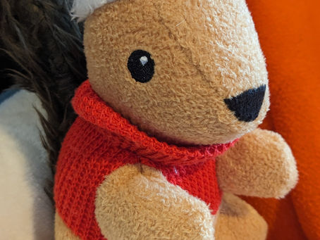 Squirrel Dog Toy Review: Ignored Completely