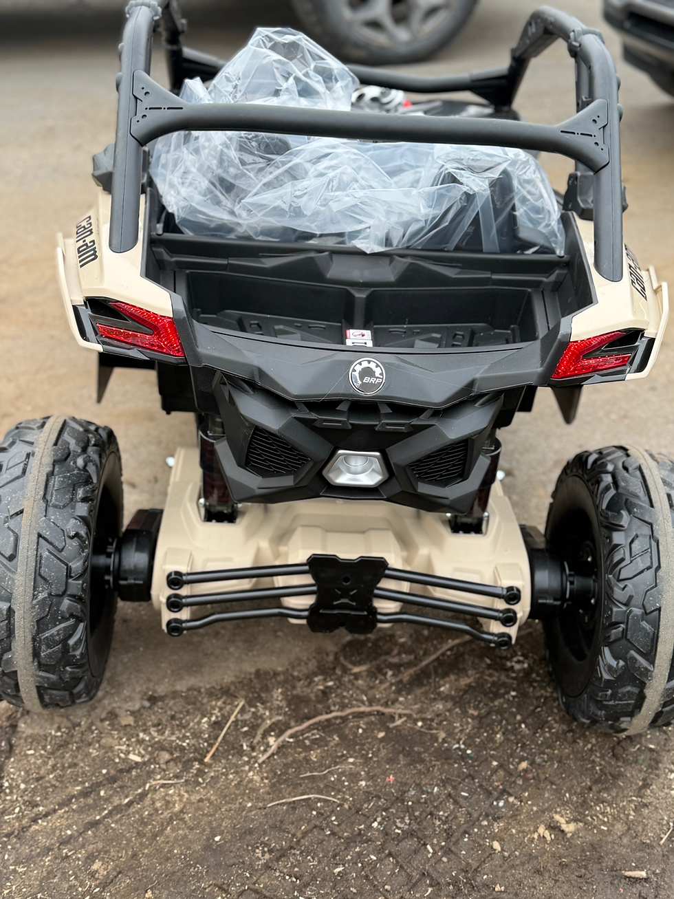 Miniature : CANAM NOIR