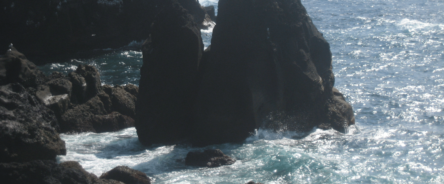 Reykjanes