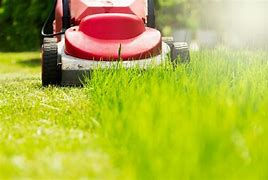 Altitude Outdoor Home Care photo 5