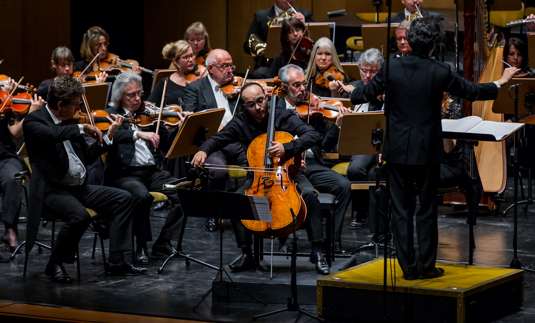 photo by David Rodrigues