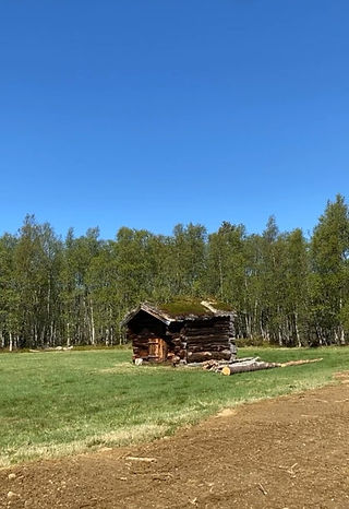 Lite trehus med grønt tak og skog i bakgrunnen under klar blå himmel.