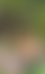 The best hamstring stretch