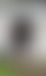 Functional core exercise