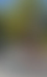 Dynamic Hip Stretches