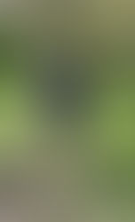 One of the best core exercises