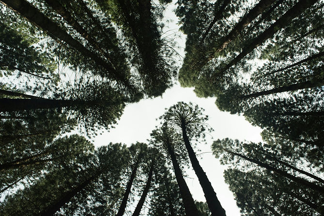 Sustainability