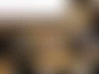 岐阜県 男女共同参画フォーラムのモデレーターを務めました