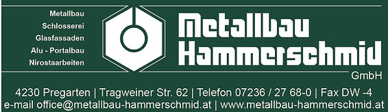 Kopie von Hammerschmid_logo+branchen+adresse+tel+mail+web_greenbg.jpg