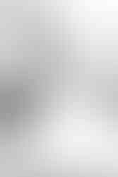 Bok Tower Gardens First Look 4