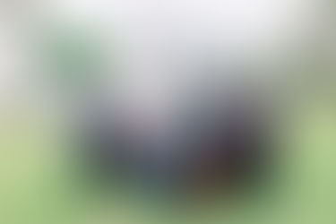 "Capturing Your Perfect Day: wedding photographers in brevard county Fl - Capture The Art of Historic Field Manor Weddings"