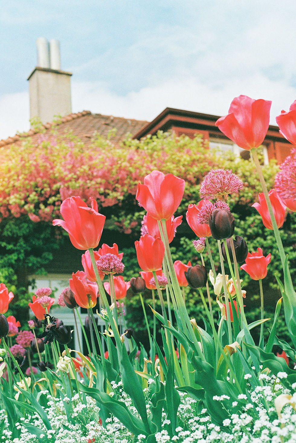 Elopement in Switzerland