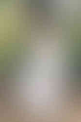 bridal fine art and editorial portraits at the estate on the Halifax