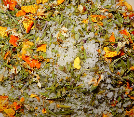 Petit poissonnet.JPG