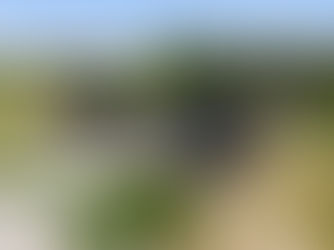 Aerial view of Houston-area new housing development for the Iowa Colony and Rosharon buyer guide