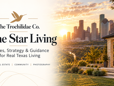 Lone Star Living Houston-area neighborhood scene at golden hour for the Katy Texas buyer and relocation guide