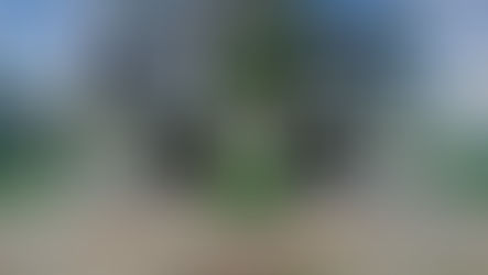 That’s what it means to live smart and invest young.