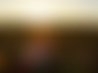 Preparing for a Toddler Portrait Session: A Photographer's Guide for Parents