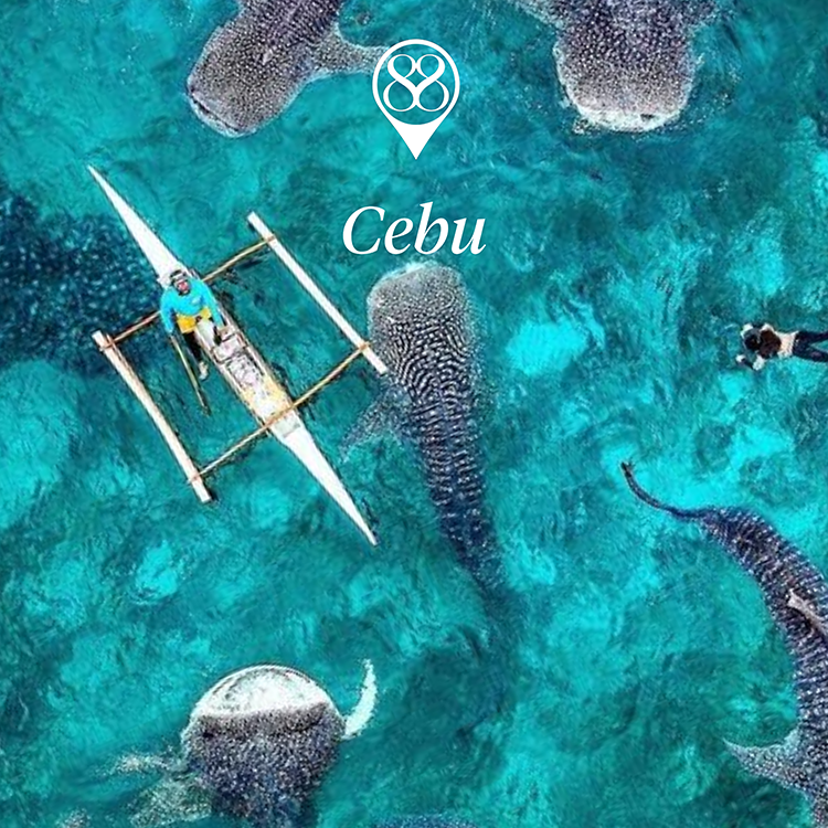 cebu.webp