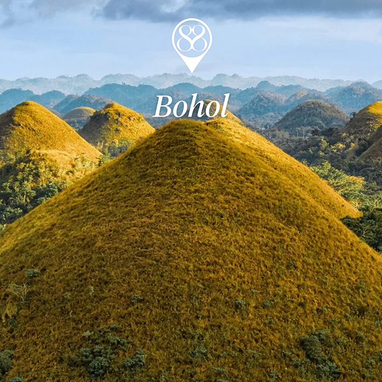 bohol.webp