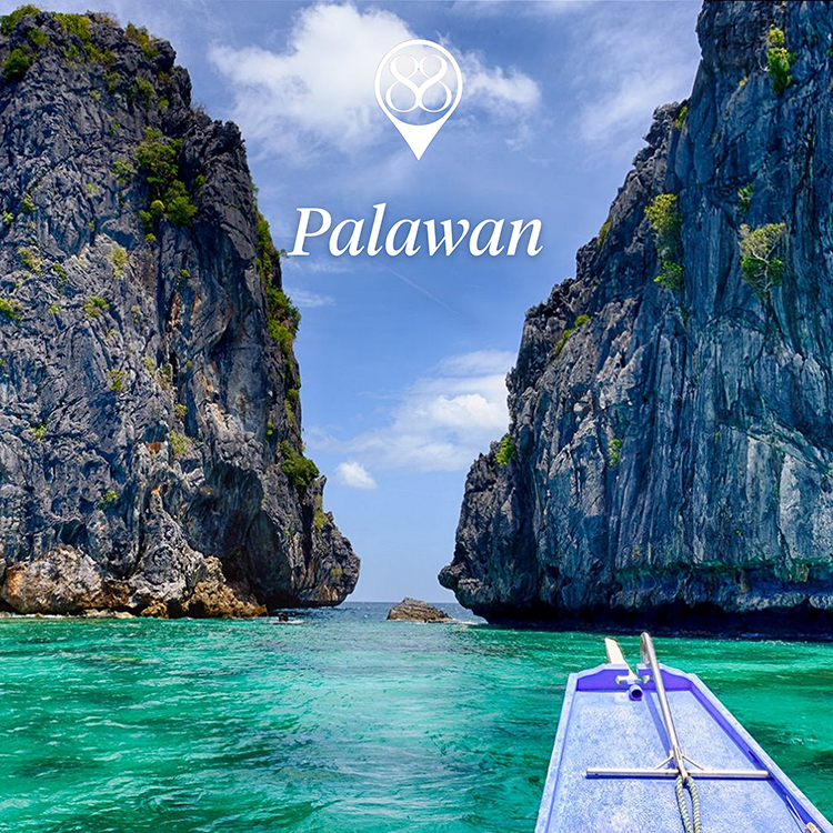 palawan.webp
