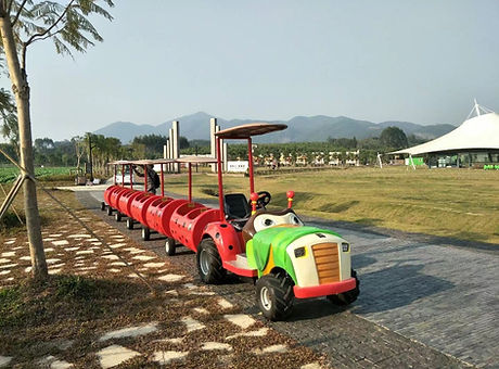 Beetle Battery Train