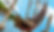 bounty-pirate-ship-slide1.jpg