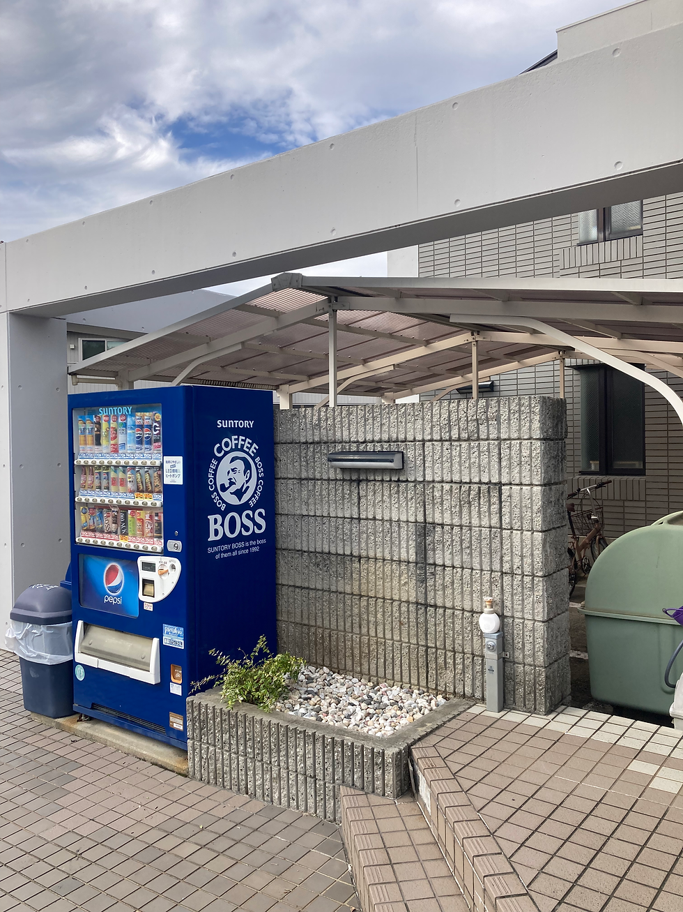 オリーブの抜根