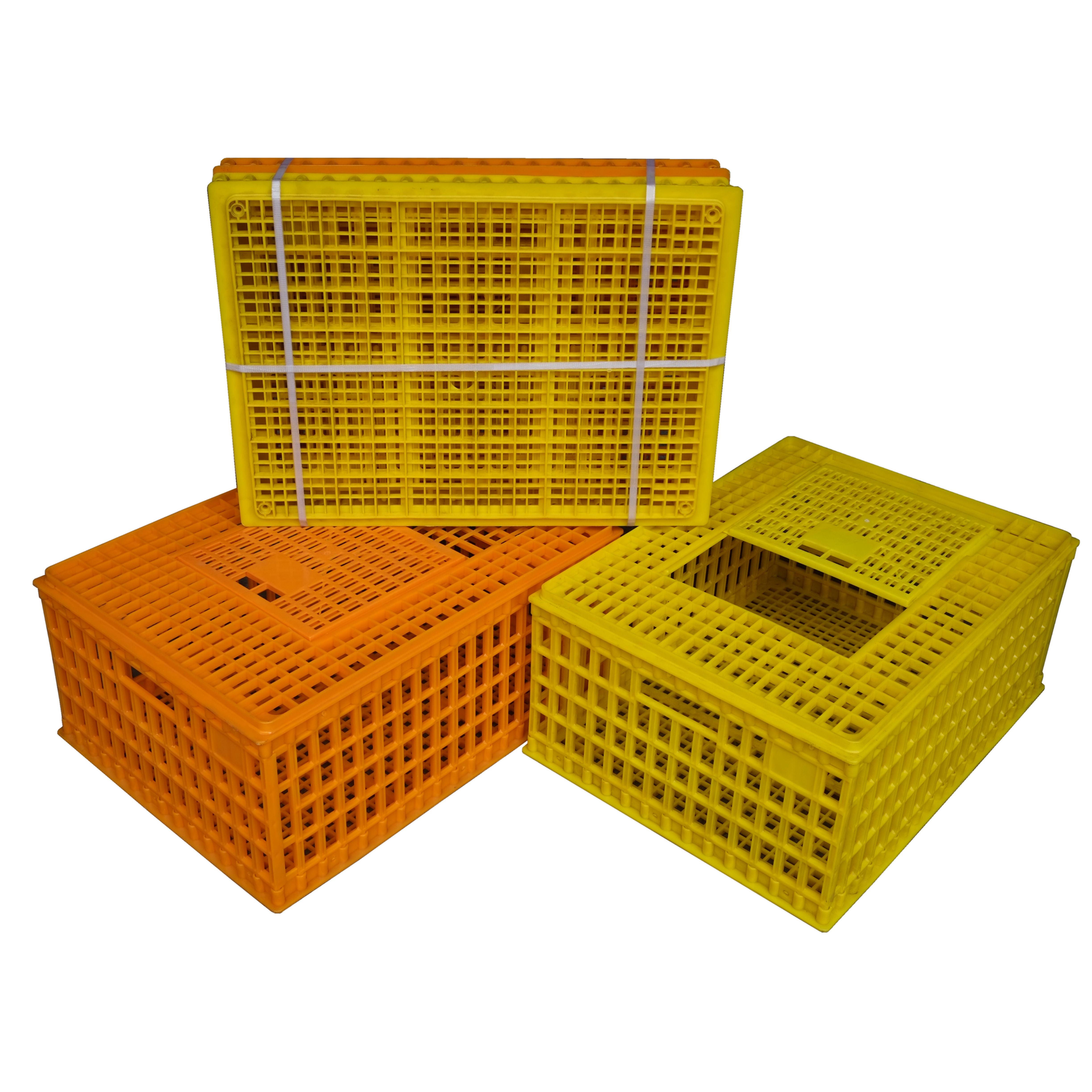 Chicken Transport Cage