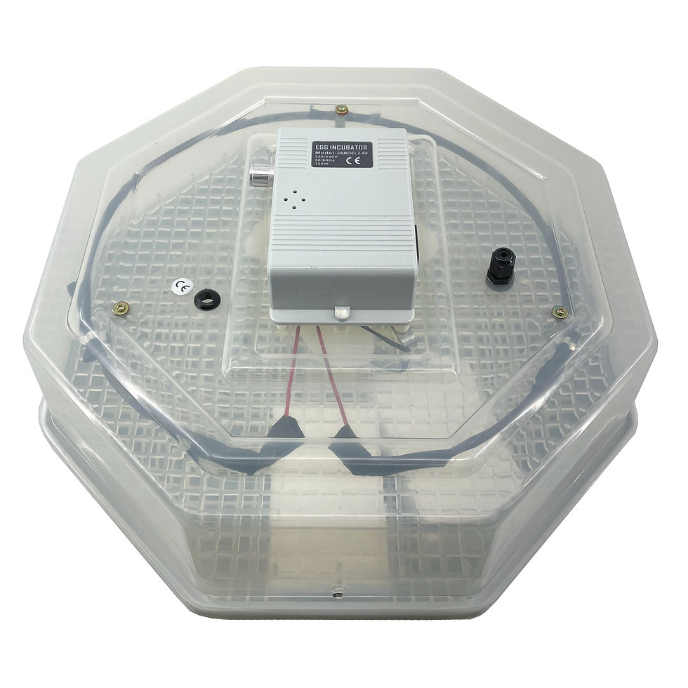 Egg Incubator