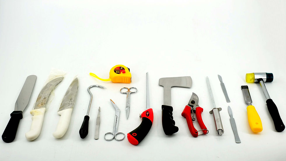 Thumbnail: Dissecting Set