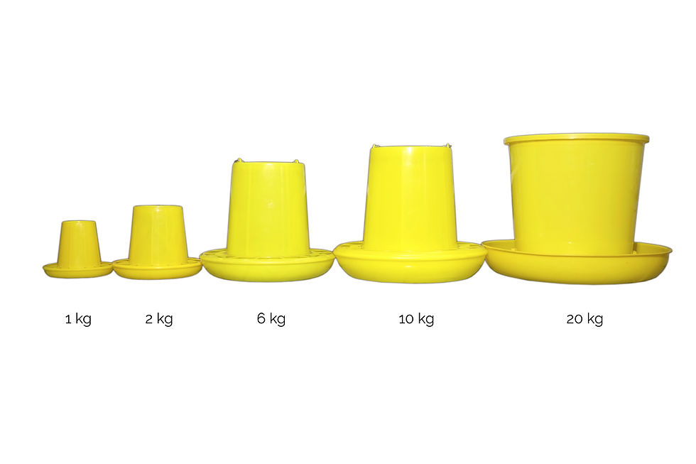 Thumbnail: Feed Bucket Comparison